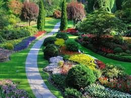 Ландшафтный дизайн - современный сад